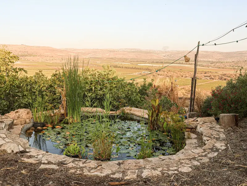 בריכת הנוי של המרכז על רקע נוף ההרים